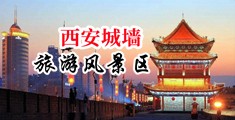 大鸡巴用力操逼视频中国陕西-西安城墙旅游风景区